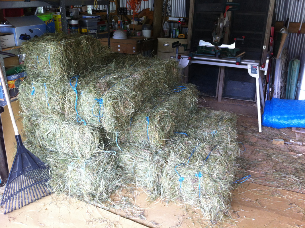 Hay bales stacked in shed after baling with handmade box baling machine